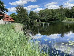 Hinter dem Brauhaus liegt ein malerischer Teich.