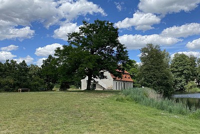 Die Wiese am Brauhaus.